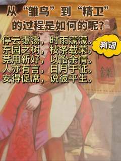 从“雏鸟”到“精卫”的蜕变
【含大量剧透】
店家:乱神
D