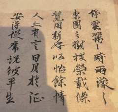 从“雏鸟”到“精卫”的蜕变
【含大量剧透】
店家:乱神
D