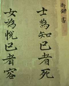 从“雏鸟”到“精卫”的蜕变
【含大量剧透】
店家:乱神
D