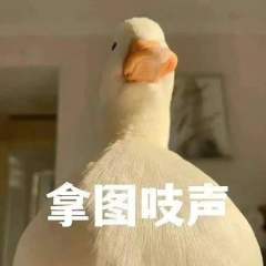 米琦cp照来啦（喜欢的可以拿，拿图请吱声）