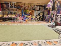 感觉许久未发帖子了…发个谷子大合集，用来当新的自证？