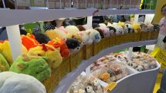 千岛QDF潮玩展&卡牌展、速速速速来！