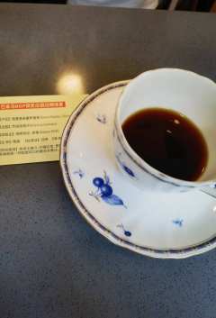 今天下午终于结束居家健康监测，跑到菡咖啡喝的第一支豆子。豆子