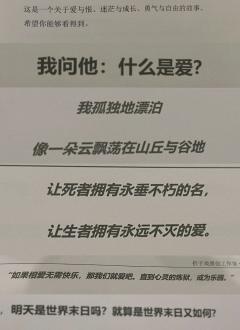 这一次,小王子找到了他的玫瑰。趁着夕阳乘着小船,向远方的尽头