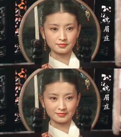 以下是一些沈眉庄的经典台词：

1. “宁可枝头抱香死，不曾