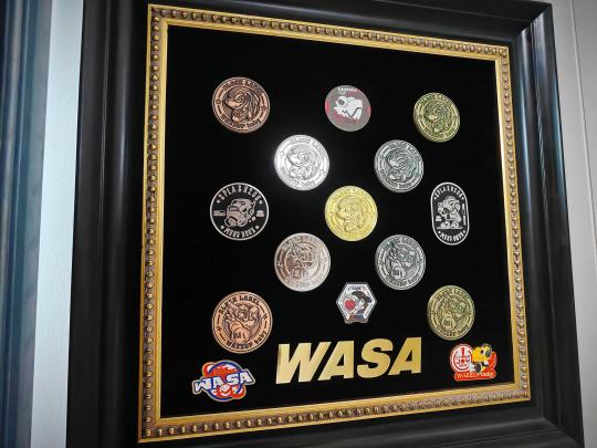 wasa变色龙最全的徽章