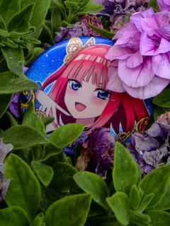 宝宝好美