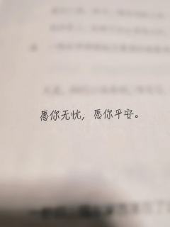 四月第一本，应该也是唯一本。网上差评多，没报太高期待，反而觉