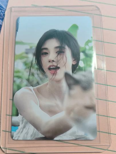 这个卡是野周还是饭制啊