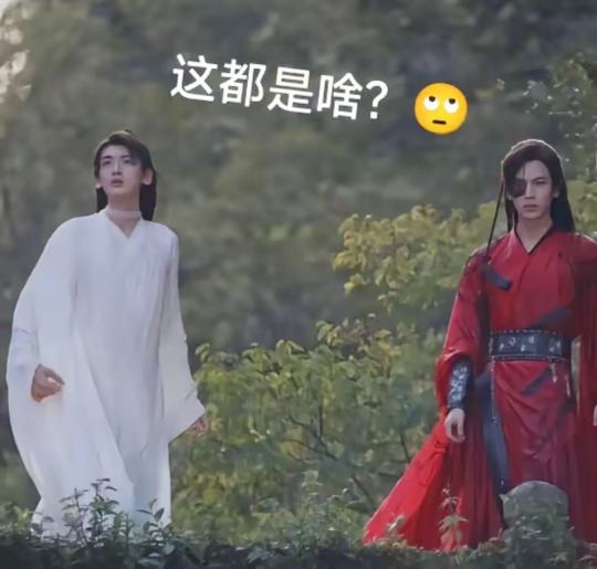 呵呵，天官赐福的影视化，我真的是服了。