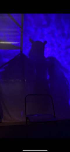 什么是爱?
什么是死亡?
这是谁的葬礼?
没有华丽丽的词藻,