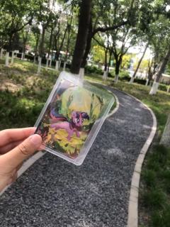 我的小马宝莉卡片已经迫不及待要出去踏青啦！
《五一奇幻之旅·