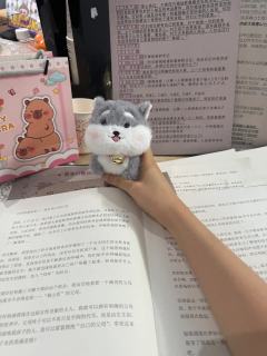 这个本打了十一个小时，超级无敌烧脑，几个线索本、视频本、日记