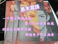 谜案集已经出到第5部了,愚木混珠是第二部一叶障木的前传,故事