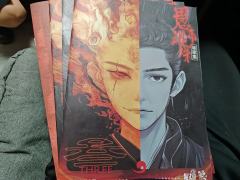谜案集已经出到第5部了,愚木混珠是第二部一叶障木的前传,故事