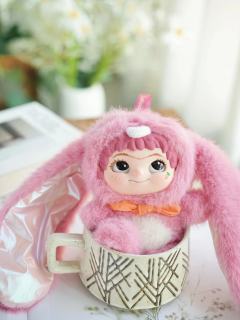 现货 哇库库新品二代狐狐兔兔捣蛋日记系列盲盒
狐狐兔兔捣蛋C