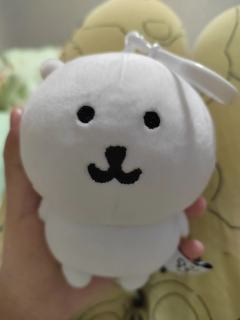 求问真假