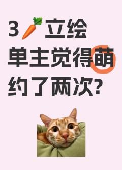 被单主宠爱的一天😆😆萌萌小蛋糕单主