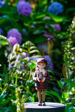 紫阳花下的小诺，日剧即视感