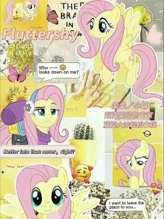 小马宝莉壁纸可以拿但是要说一声