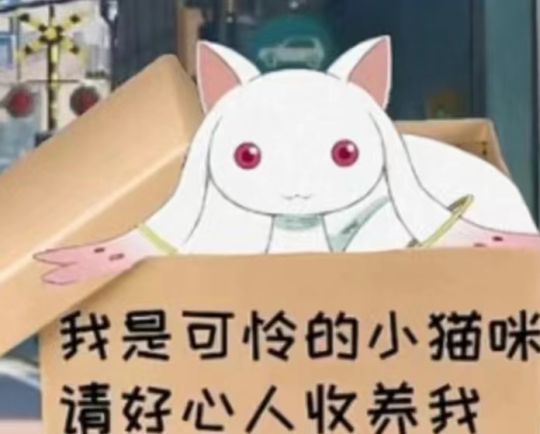 谁敢养🌚🆘🆘