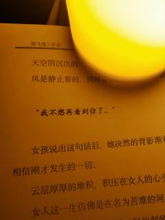 “而你的双眸是这世间的唯一,亦是我眼中的唯一。”
体验剧本: