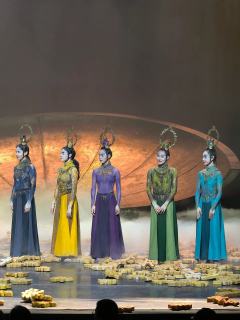 🎬推荐理由：相信看《春之祭》的观众大多是冲着杨丽萍去的，杨