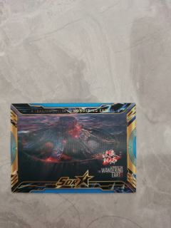 有谁知道这卡吗？多少钱呀？