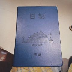 “在千万条向死而生的因果里,你是我唯一的救赎。”
“不是今天