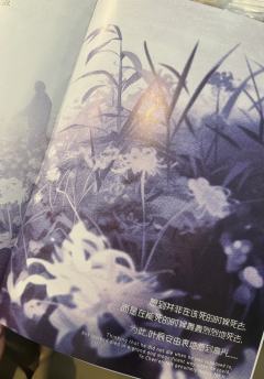 巨好玩真爱玩。案子耐盘，故事也好好好喜欢^_^小夫带的也好，