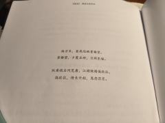 体验剧本:《望辰》
体验角色:佳人/陆倩思
体验店家:UMI