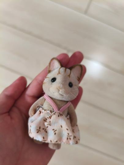 这个绝版了吗？为什么找不到同款