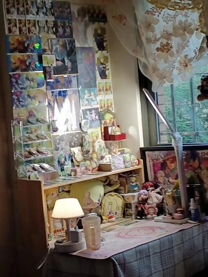 因为太想展示以至于开始糊墙…๑•́₃•̀๑原谅我的超绝画质😭