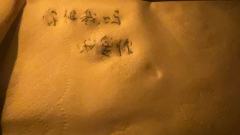 (图片有剧透,介意勿点开)
“公子,算一卦吗?姻缘,财运,官