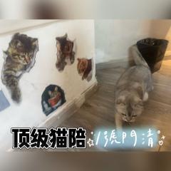 “你是徘徊于世间,最后的死亡回响。”不愧是今年目前TOP1的