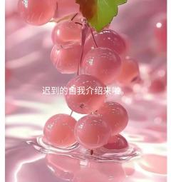 自我介绍