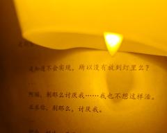 1dm10npc带食玩328,这个性价比还能说什么
郑述祖