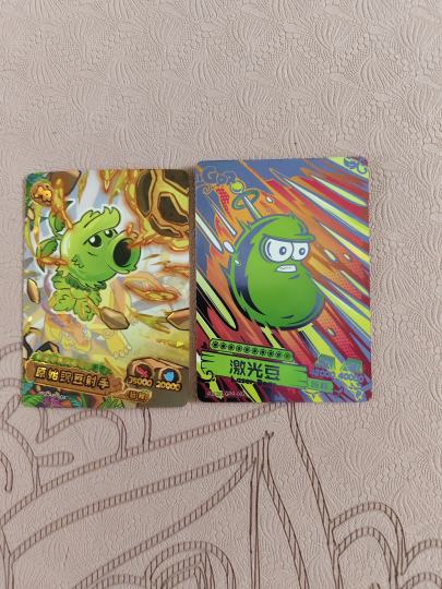 爱，第一批金背