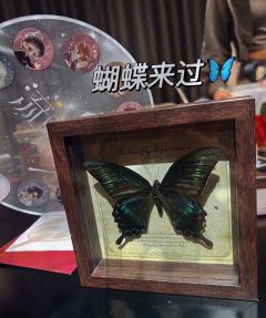 以撒,你好像很会爱人
缪宏谟,你好像真的很好
三刷流氓,终