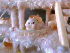🐰窝