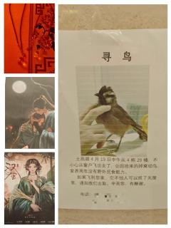 【含剧透】
以下是剧匠《双生》DM分别饰演的角色,他们是: