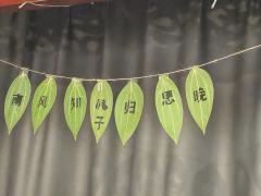 很庆幸在这样一个多刷恋陪和无脑疯批这些脏东西充斥市场的同时，