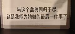 「人心之孽，犹胜鬼神！以真相之澈冽，灭诡言之业火。」

体验