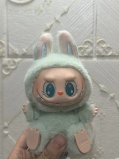 收的拉布布是真的假的
