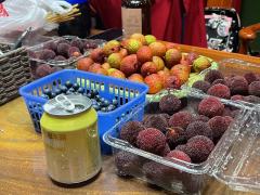 如果通向幸福的方式是千万次的哭泣，那眼泪我替你来流

大漠谣