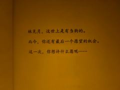 “沈文书，此间事了，你我只能是仇敌”
体验剧本:《孽障》
​