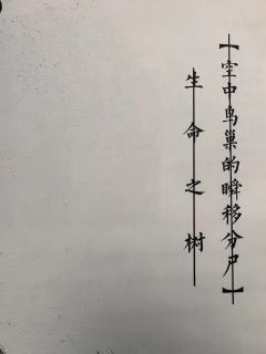 “连接彼此的游戏与杀意，是接近真相唯一的通行证。愿我们一同，