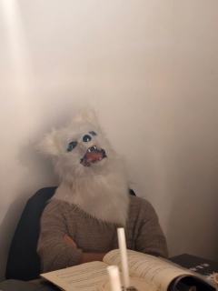 真正的中式民俗风猫岛，瓜量给足反转高能，全车无数次爆发出尖锐