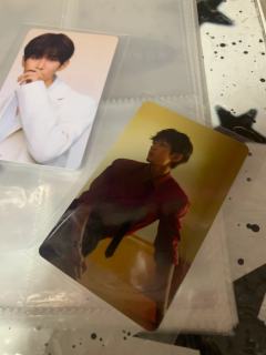 果果看看 真假呀