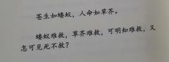 “想要什么样的名字?文雅一点的,还是可爱一点的?”
“我想要